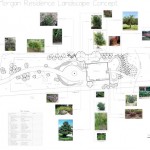 landscape design